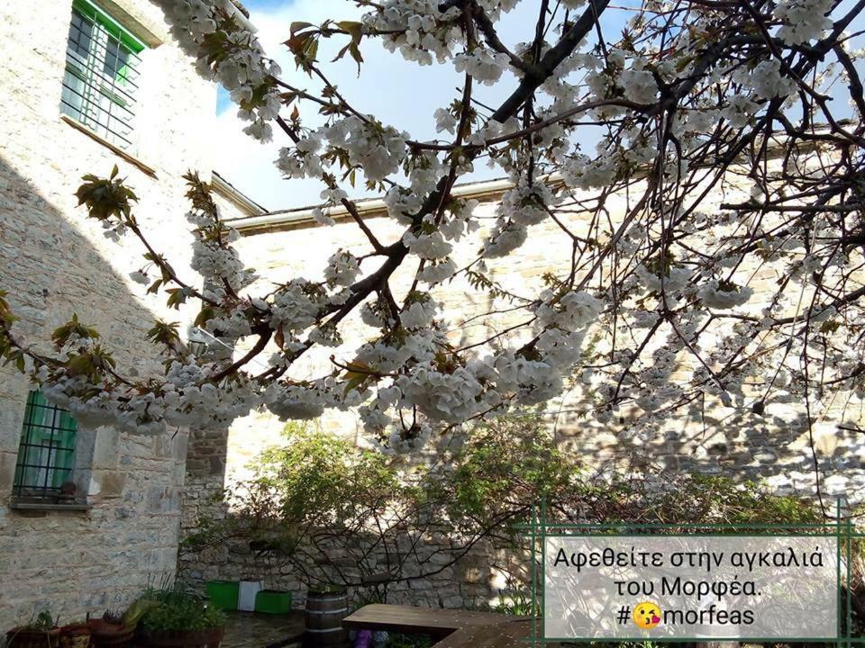 Morfeas Guesthouse Папингон Экстерьер фото